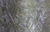 Longbridge Deverill fibreglass roof work